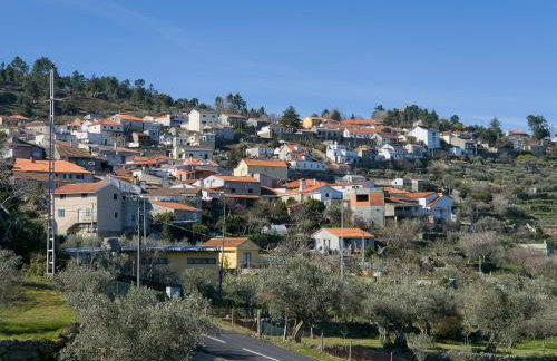 Raposa Verde - Agroturismo - Foto 9