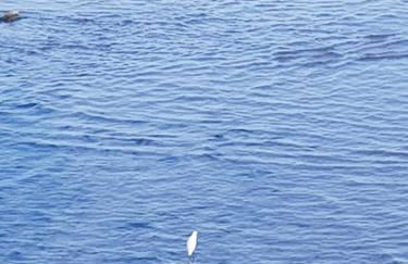 Exclusive Apartment - Playa de Marenys de Rafalcaid - Photo 72