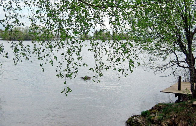 6 Person Holiday Home in Arboga-by Traum - Photo 11