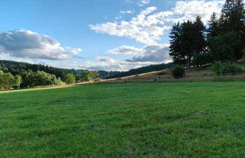 Siódme Niebo domek w górach - Foto 34