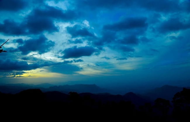 The Pear County - Foto 32