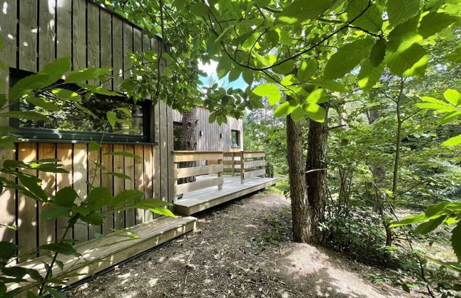 Holiday Home 2 Under the Trees - Photo 21