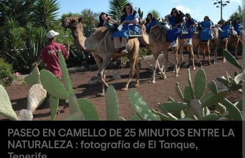 La Fortaleza - Foto 50