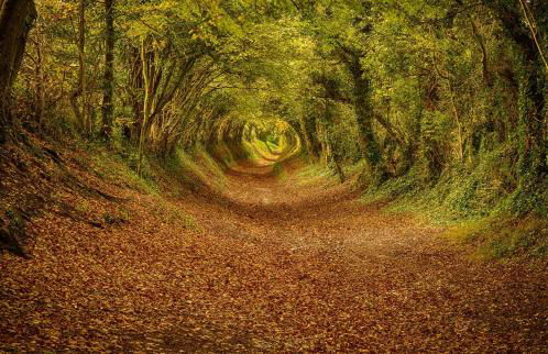 Chic 4-bed Coastal Retreat in Heart of Bosham - Foto 87