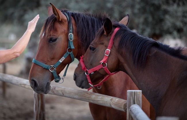 Casa do Governador - Photo 62