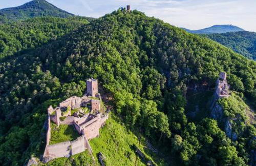 Villa Camélias, appartements de Charme - Foto 21
