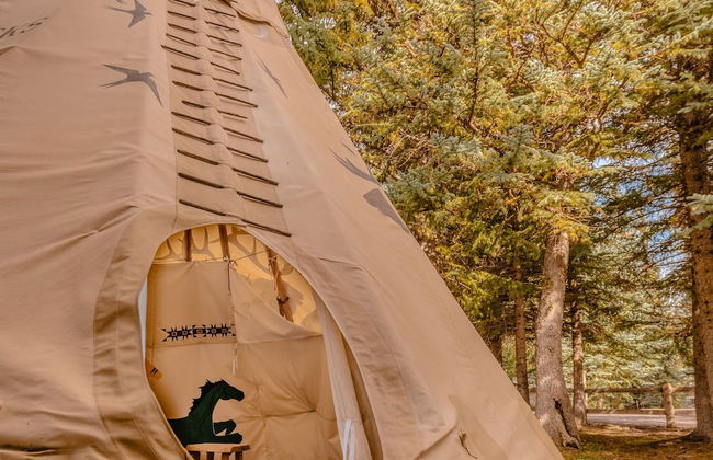 Twin Creeks Ranch Luxury Aspen Group Retreat 25-acres Guest House - Foto 57