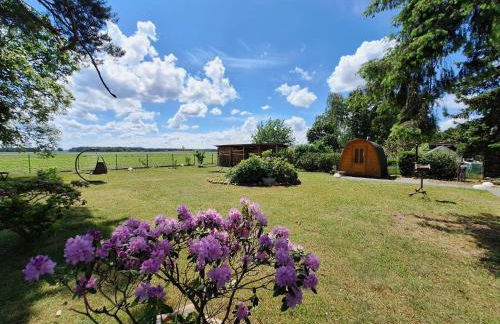 Ferienhaus Max mit Sauna - Photo 7