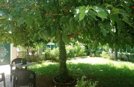 Holiday Home in Chalkidiki, Lakkoma - Foto 30