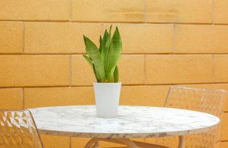 Casa Carlotta - Foto 54