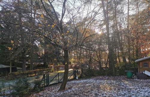 Ferienhaus Seensucht - Natur am See & im Wald mit Kamin - Foto 7