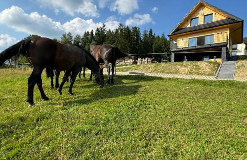 Domek DE-Luxe BUFLAK - Foto 41