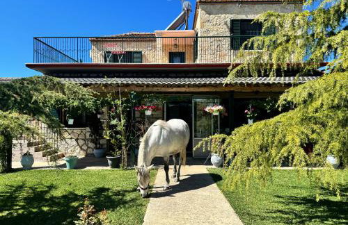 Orange Lemon Garden - Foto 1