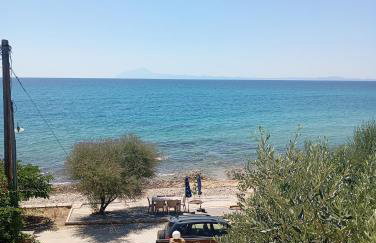 Δίπλα στο κύμα -Βeside the wave - Photo 10