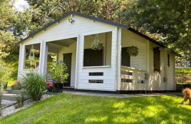 Familijny domek nad jeziorem - Foto 1