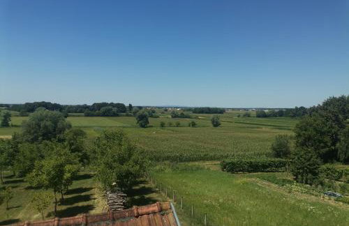 Apartman ŠIPA - Foto 4