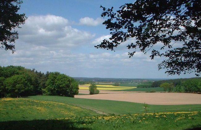 Holiday Home Hirtenkate Apartment 2 - Foto 22