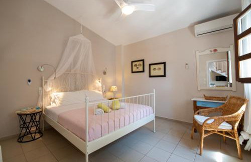 Bougainvillea - Foto 38