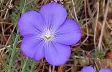 Maison sur la colline du Barroux - Foto 54