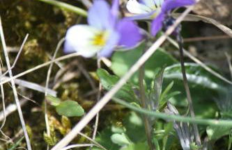 Reethus Stöfs - Foto 24