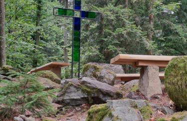 Traumblick Bayerischer Wald, Pool & Sauna, Getränke, Klimaanlage - Foto 66