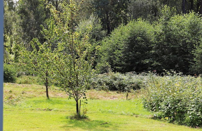 6 Person Holiday Home in Ostra Antervik-by Traum - Foto 15