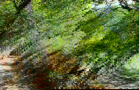 HURZ - Giardino Sannita - Foto 40