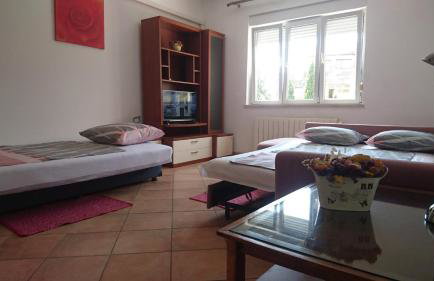 eco Apartment - Photo 8