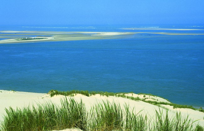 VVF Lège Cap Ferret, Claouey - Foto 46