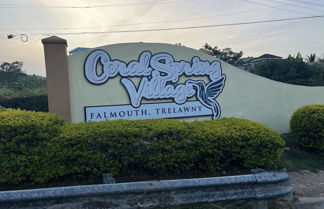 Villa Jamaica - Photo 50