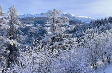 Résidence Le Rami Les Coches - La Plagne - Foto 1