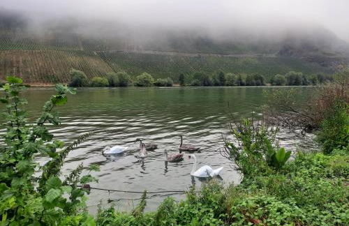 A&A Urlaubswohnung Piesport - Foto 2