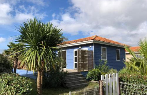 La Casa Azul - Foto 1