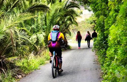 Casa Norb Teror - Foto 33