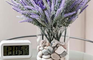 Diez - Ferienhaus am Hain - Foto 34