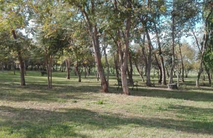 Agriturismo Lupo Cerrino - Foto 38