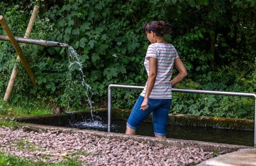 Ferienwohnungen Schwabenhof - Foto 37