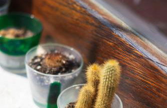 Skyview Paradise House - Photo 17