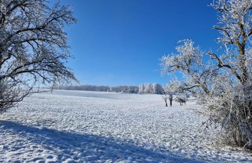 Landhaus Domaine de Marie - Foto 48