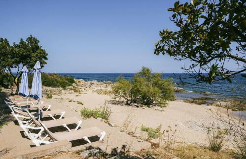 Domaine de Pianiccia - Foto 49