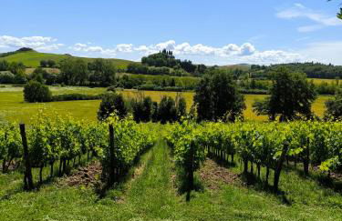 La casina nella fattoria - Foto 9