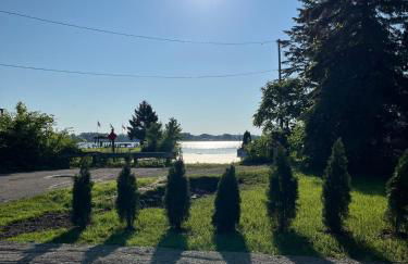 The little blue jay - Foto 6