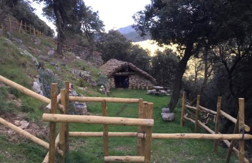 El rincón de Soto - Foto 41