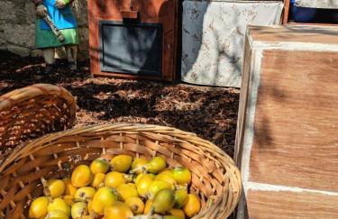 Dimora Olio & Pepe - Foto 36