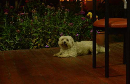 Baladinos Apartments - Foto 69