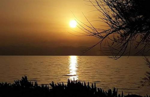 Villettemire - Foto 23