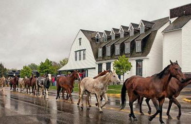 Cozy Cabin Perfect for a Romantic Escape with BBQ in Dayton, Wyoming - Foto 19