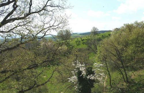 Studio Les Cadichons de la Grange - Foto 23