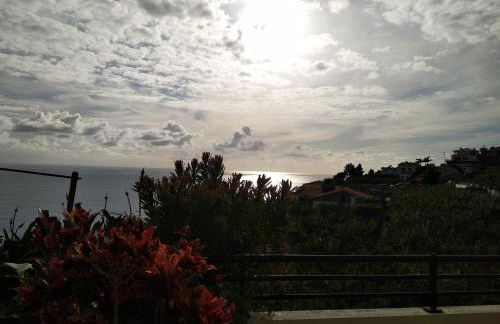 Jardim do Arco "Esmee" - Foto 44