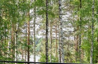 Szklany Dom nad Łąkami - Foto 40